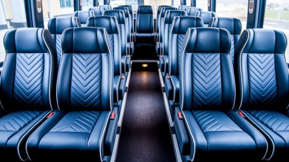 palm coast 15 passenger minibus inside