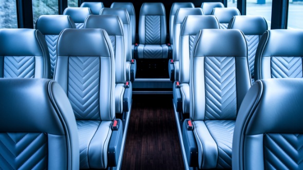 palm coast 28 passenger minibus inside