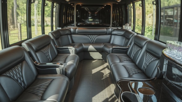 palm coast sprinter limo rental inside