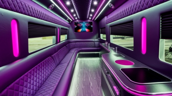 palm coast sprinter limo rental rental